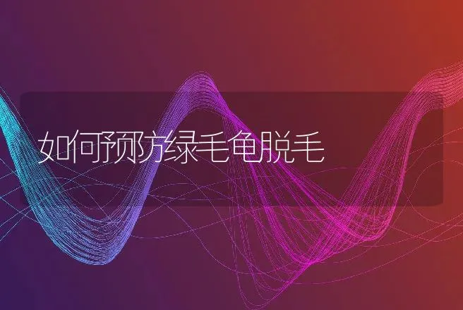 如何预防绿毛龟脱毛 | 动物养殖