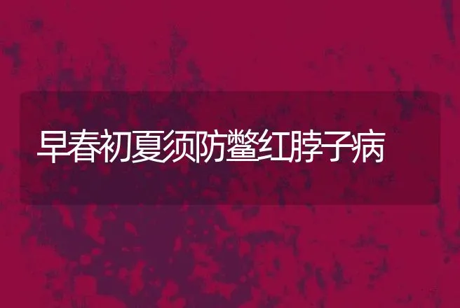 早春初夏须防鳖红脖子病 | 动物养殖