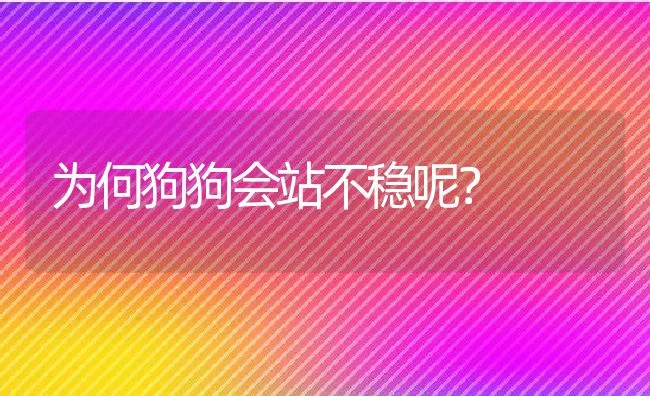 为何狗狗会站不稳呢？ | 宠物猫