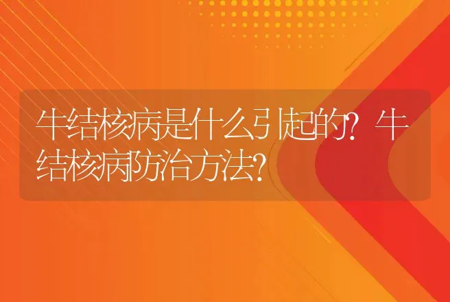 牛结核病是什么引起的？牛结核病防治方法？ | 兽医知识大全