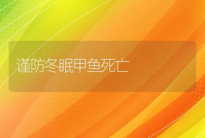 谨防冬眠甲鱼死亡 | 水产知识