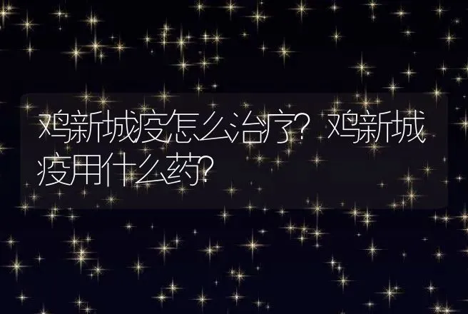 鸡新城疫怎么治疗？鸡新城疫用什么药？ | 兽医知识大全