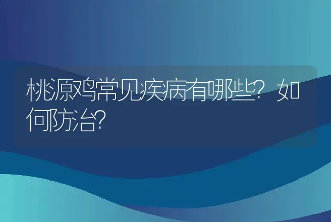 桃源鸡常见疾病有哪些？如何防治？ | 兽医知识大全