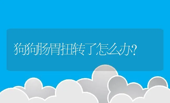 狗狗肠胃扭转了怎么办? | 宠物猫