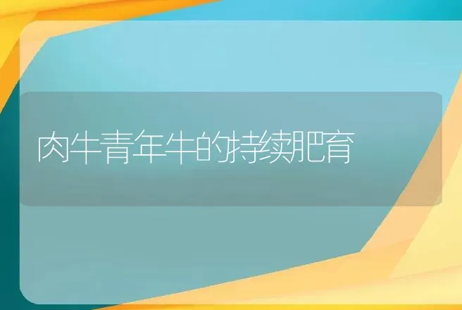 肉犬饲养与市场开发 | 动物养殖