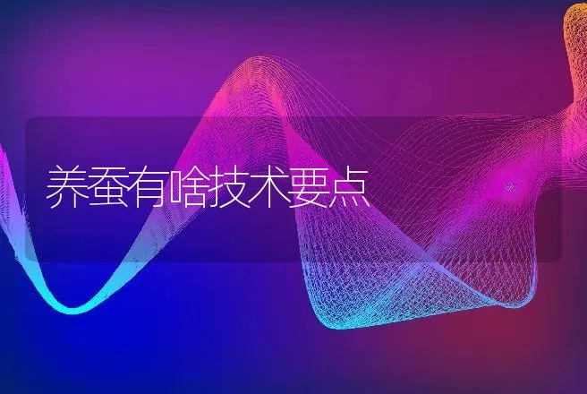 养蚕有啥技术要点 | 特种养殖