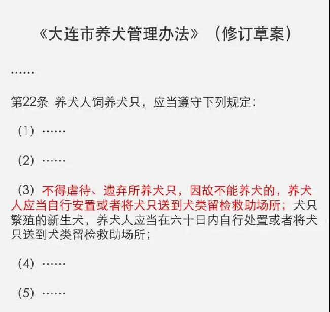 因嫌德牧气味太重，竟然将它栓在车后一路拖行 | 宠物新闻资讯