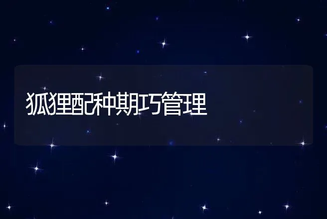 狐狸配种期巧管理 | 动物养殖