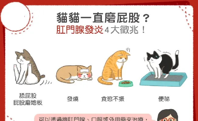 给猫「洗屁股」比洗澡更重要！猫做这沙雕动作时，要加倍注意 | 宠物训练技巧