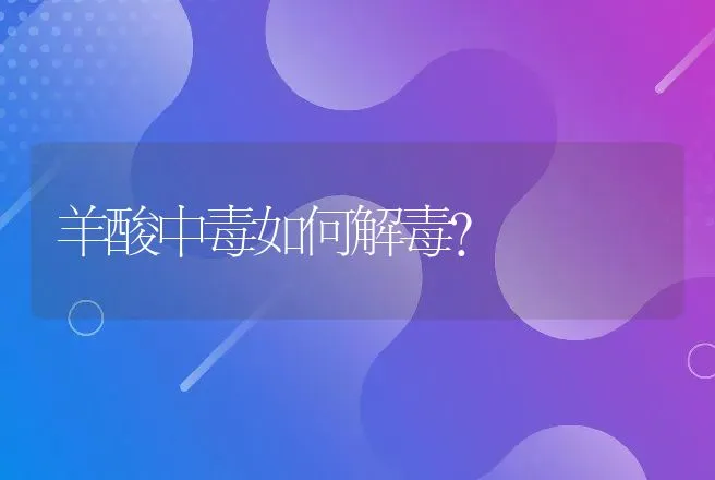 羊酸中毒如何解毒？ | 兽医知识大全