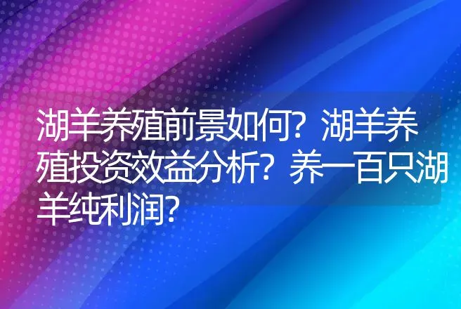 湖羊养殖前景如何？湖羊养殖投资效益分析？养一百只湖羊纯利润？ | 养殖致富