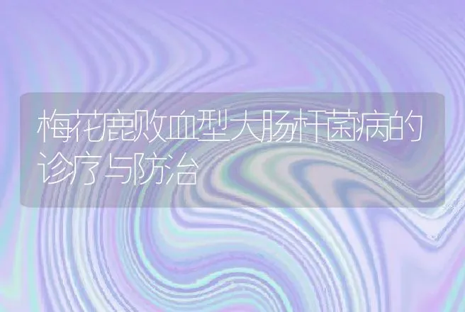 梅花鹿败血型大肠杆菌病的诊疗与防治 | 动物养殖