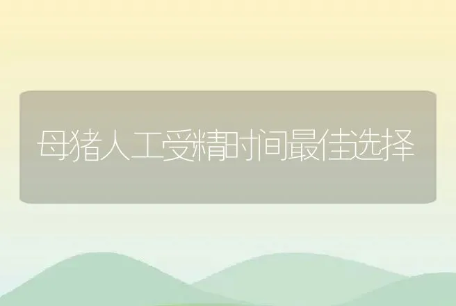 母猪人工受精时间最佳选择 | 动物养殖