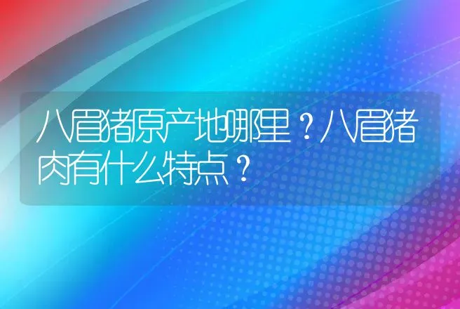 八眉猪原产地哪里？八眉猪肉有什么特点？ | 动物养殖