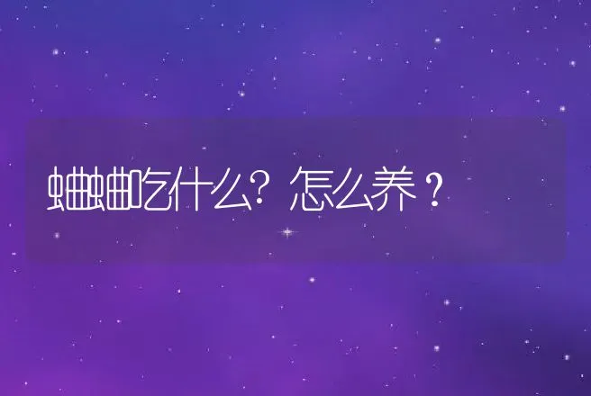 蛐蛐吃什么?怎么养？ | 特种养殖