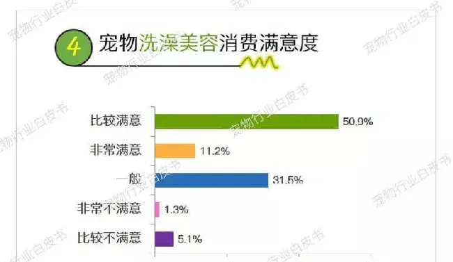 宠物服务5大领域的消费痛点都有哪些？ | 宠物行业洞察