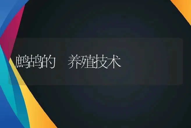 鹧鸪的 养殖技术 | 动物养殖