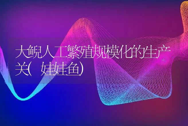 大鲵人工繁殖规模化的生产关(娃娃鱼) | 动物养殖