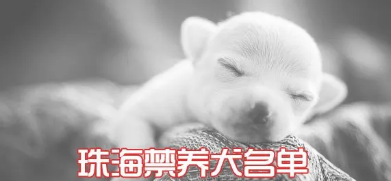 珠海35种禁养犬名单及危险犬标准 | 宠物政策法规