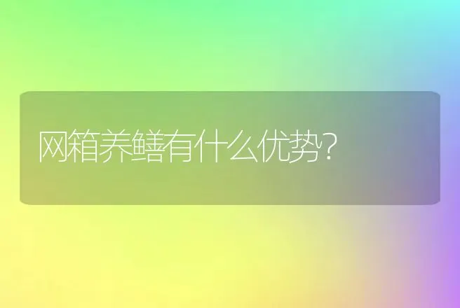 网箱养鳝有什么优势？ | 动物养殖