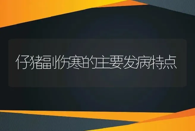 仔猪副伤寒的主要发病特点 | 兽医知识大全