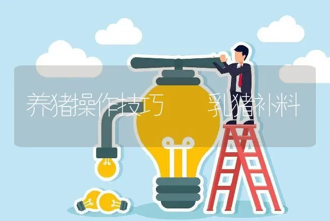 养猪操作技巧――乳猪补料 | 动物养殖