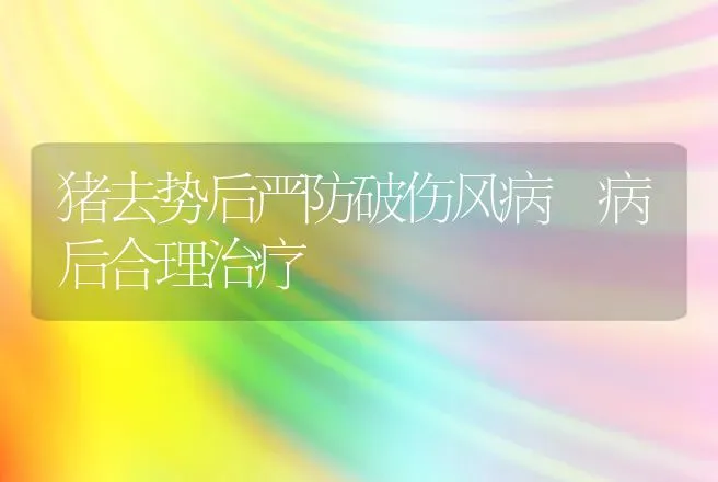 鸡传染性支气管炎诊治 | 动物养殖