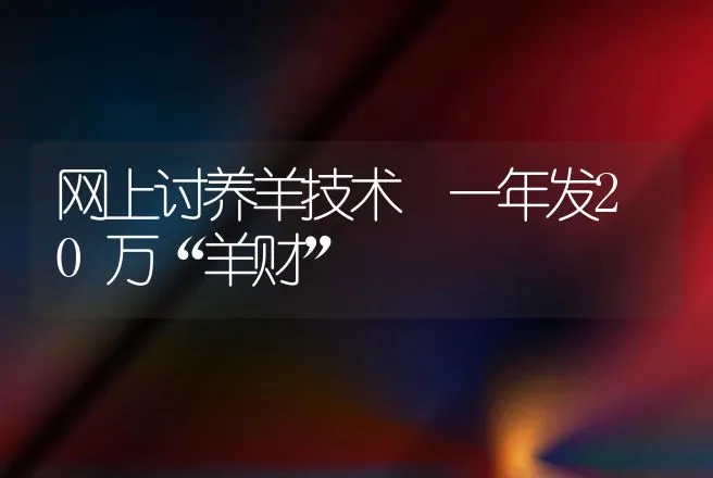 网上讨养羊技术 一年发20万“羊财” | 家畜养殖