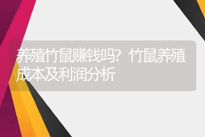 养殖竹鼠赚钱吗?竹鼠养殖成本及利润分析 | 养殖致富