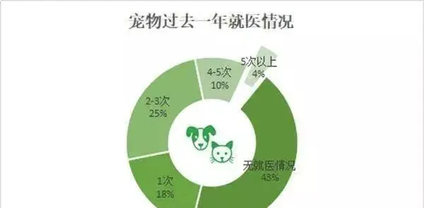 宠物保险在我国发展前景如何？我国宠物保险市场发展现状！ | 宠物行业洞察