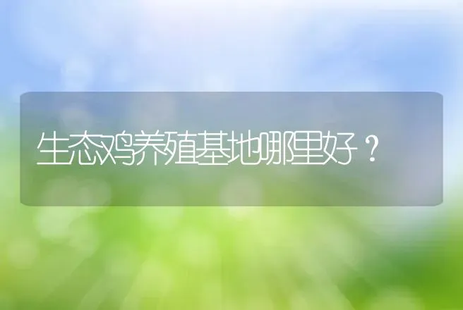 生态鸡养殖基地哪里好？ | 兽医知识大全