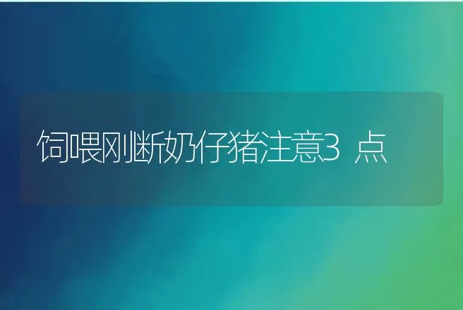 饲喂刚断奶仔猪注意3点 | 动物养殖