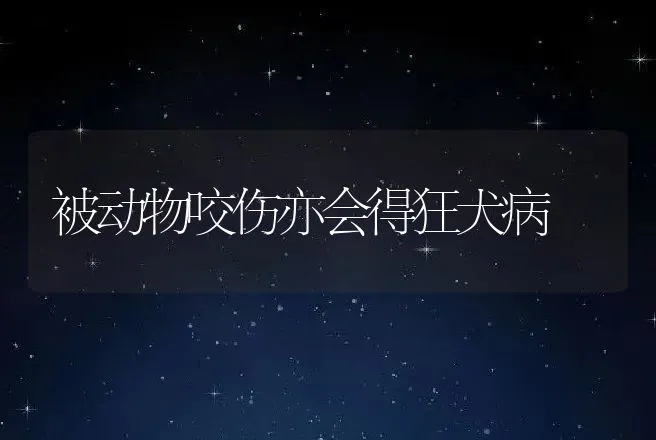 高致病性蓝耳病阴性猪场竟然暴发“高热病”――综合防治措施（下） | 动物养殖