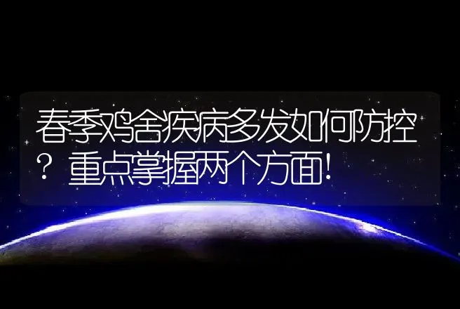 春季鸡舍疾病多发如何防控?重点掌握两个方面! | 兽医知识大全