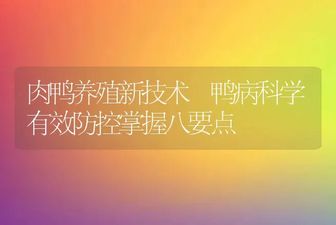 肉鸭养殖新技术 鸭病科学有效防控掌握八要点 | 家禽养殖