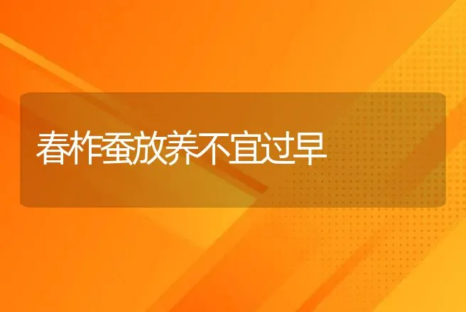 春柞蚕放养不宜过早 | 动物养殖