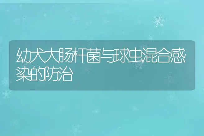 肉用兔品种――哈尔滨大白兔 | 动物养殖