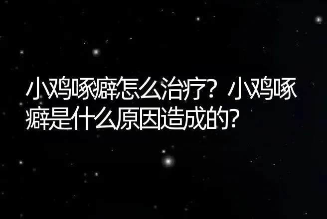 小鸡啄癖怎么治疗？小鸡啄癖是什么原因造成的？ | 兽医知识大全