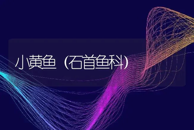 小黄鱼（石首鱼科） | 动物养殖