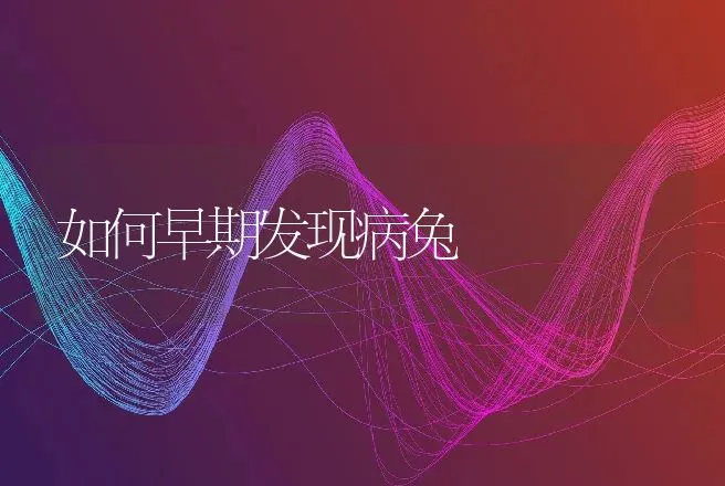 如何早期发现病兔 | 动物养殖