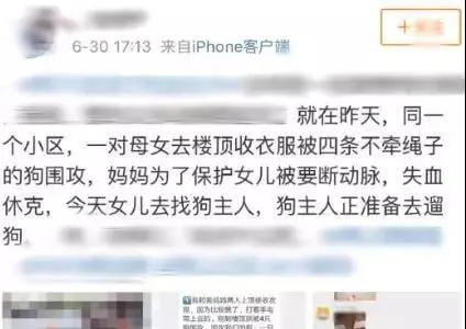 母女被四恶犬围攻，母亲被咬失血至休克 | 宠物新闻资讯