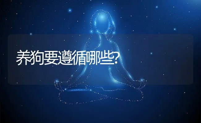 养狗要遵循哪些? | 宠物病虫害