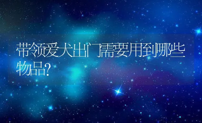 带领爱犬出门需要用到哪些物品？ | 宠物趣闻