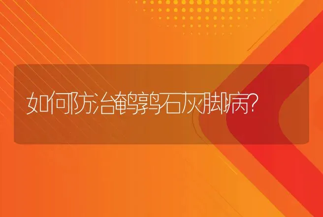 如何防治鹌鹑石灰脚病？ | 动物养殖