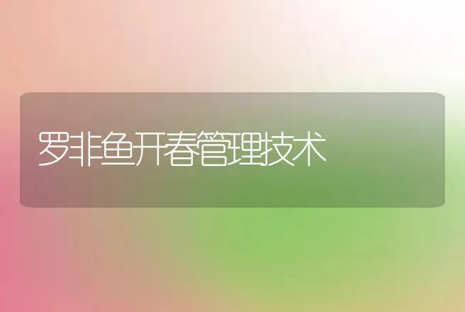 罗非鱼开春管理技术 | 动物养殖