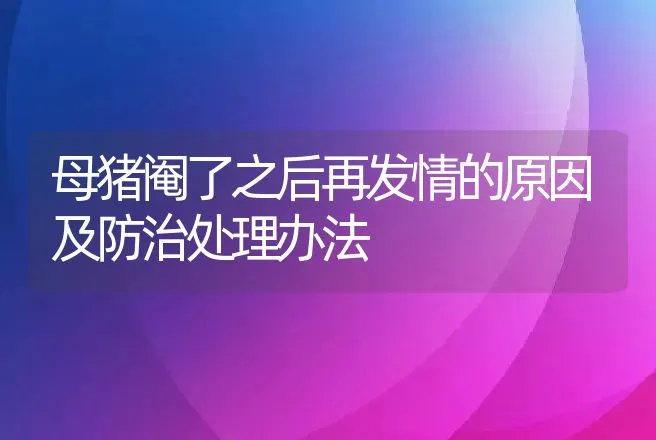 母猪阉了之后再发情的原因及防治处理办法 | 动物养殖