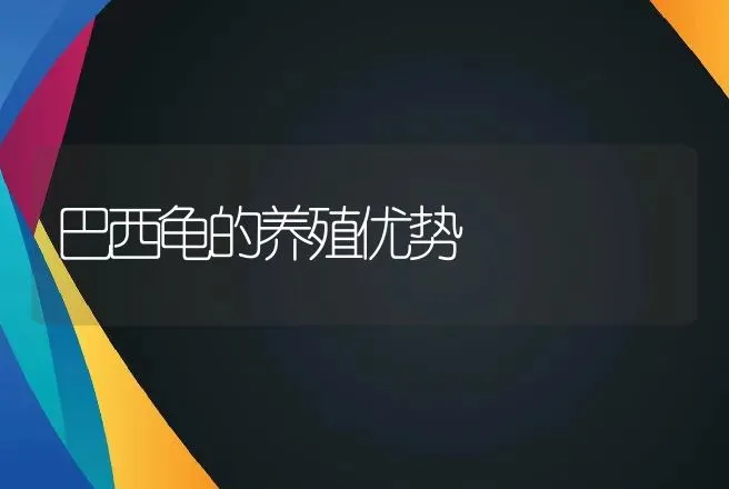 巴西龟的养殖优势 | 动物养殖