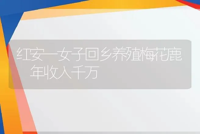 红安一女子回乡养殖梅花鹿 年收入千万 | 养殖致富