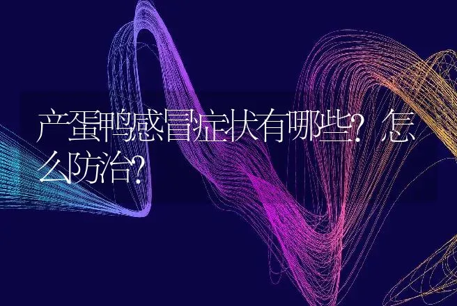 产蛋鸭感冒症状有哪些？怎么防治？ | 兽医知识大全