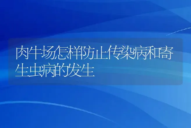 肉牛场怎样防止传染病和寄生虫病的发生 | 动物养殖